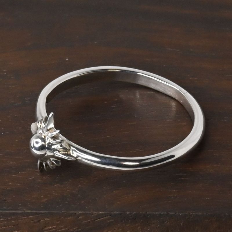 【研磨済】 ARIZONA FREEDOM シルバー リング 14号  太陽神 silver 925 アリゾナフリーダム